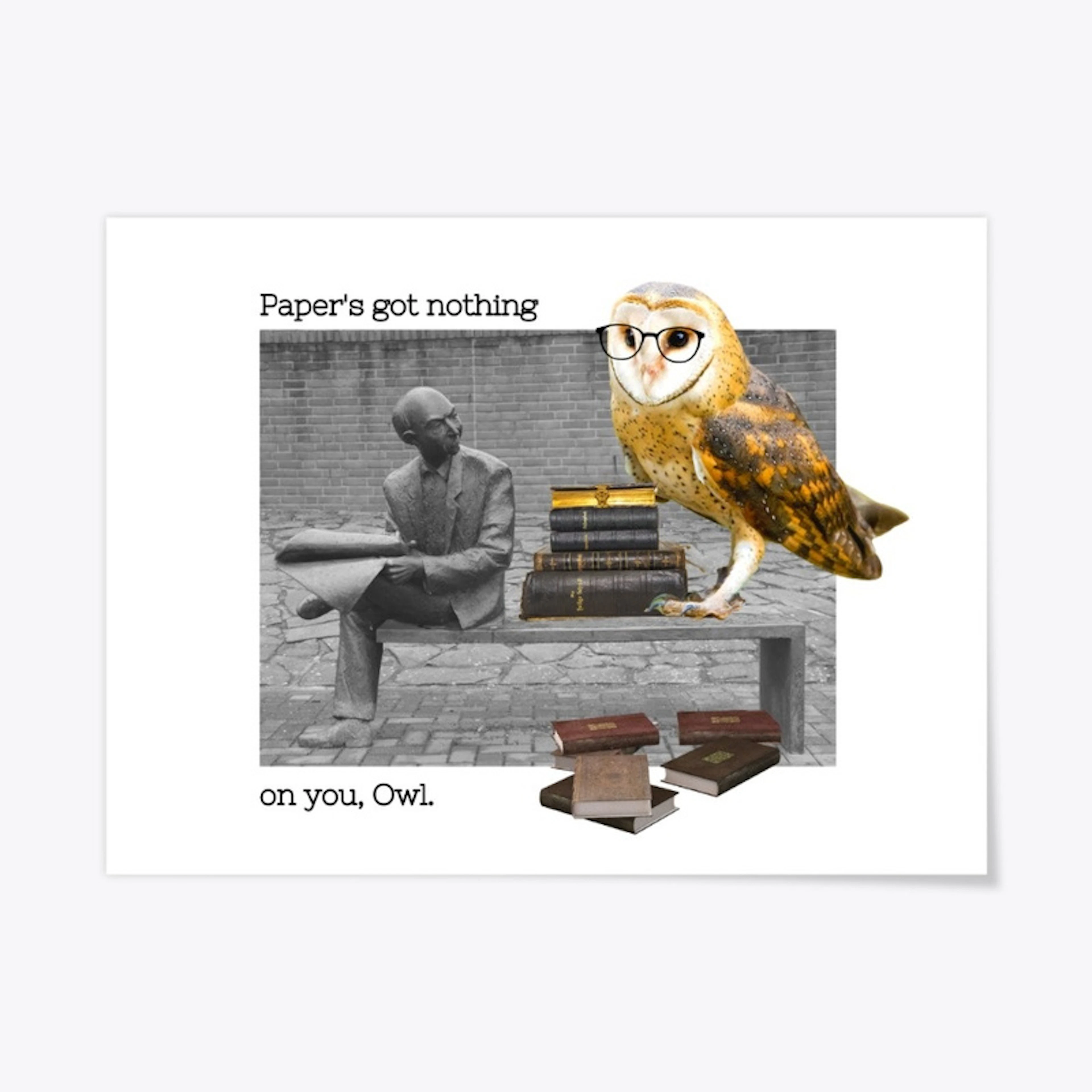 Owl on a Bench