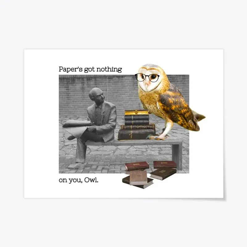 Owl on a Bench